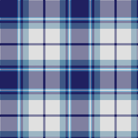 DB/60 B4 LN4 B4 DB8 Ba20 LN50 DB/8 tartan Tartan detail