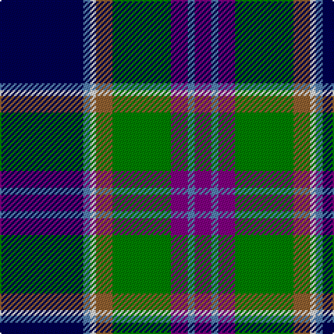 DB/60 B5 LN4 LT12 G42 P12 B5 P/12 tartan Tartan detail