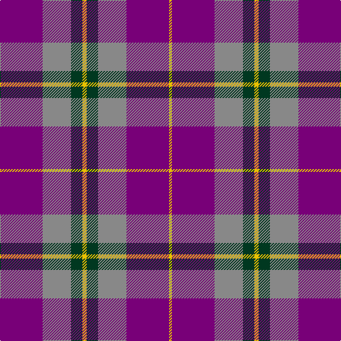 P/60 N40 DG16 Y6 DG16 N40 P60 Y/4 tartan Tartan detail