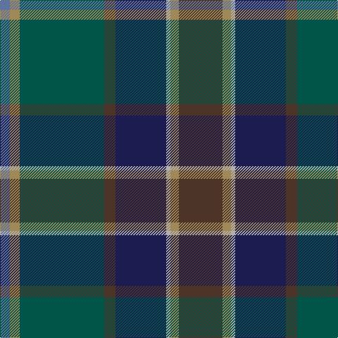 B/14 LT14 G120 T16 DB72 N6 LT12 T/62 tartan Tartan detail