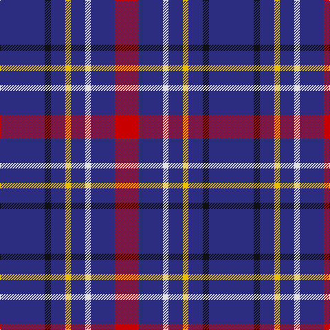 DB/65 K9 DB21 Y8 DB21 LN8 DB35 R/35 tartan Tartan detail