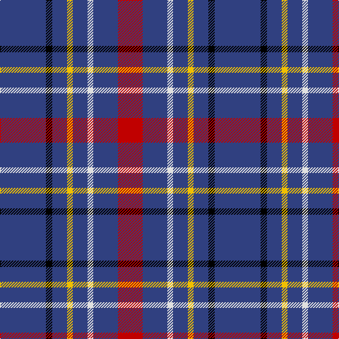 B/65 K9 B21 Y8 B21 LN8 B35 R/35 tartan Tartan detail