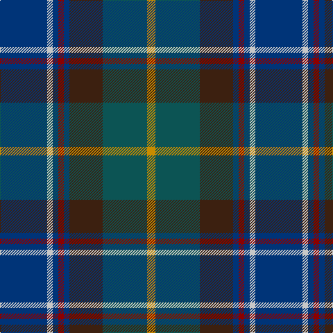 DB/68 N8 DB8 DR8 DB8 K48 G64 DY/12 tartan Tartan detail