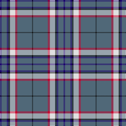 DB/6 N20 DB6 K6 LN20 R8 N56 K/4 tartan Tartan detail