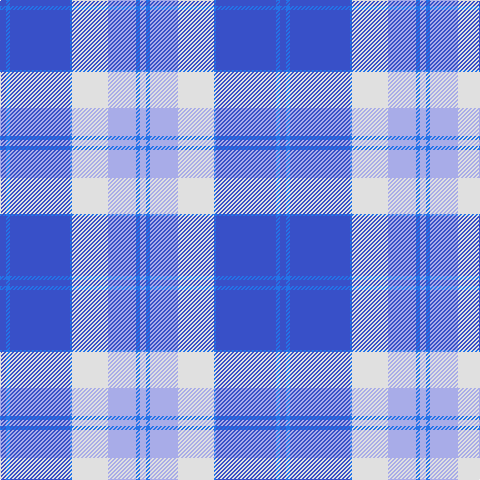 Ba/6 B4 Ba60 B2 LN36 LP28 B4 LP/6 tartan Tartan detail