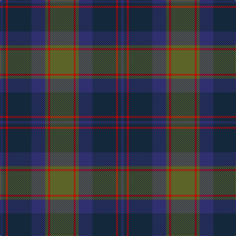 DB/6 DN6 R4 DN48 DB28 G6 R4 G/48 tartan Tartan detail