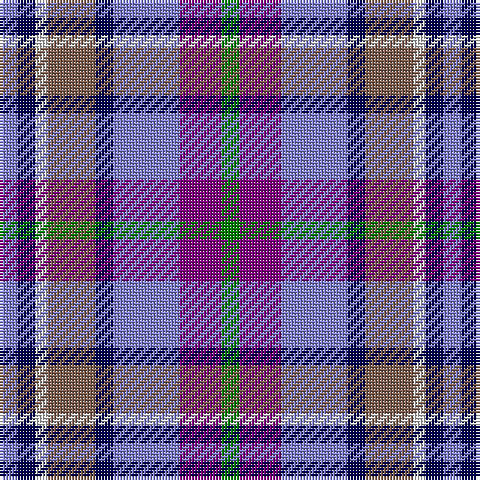 B/6 DB6 LN4 LT16 DB6 B22 P14 G/6 tartan Tartan detail