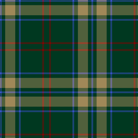 B/6 DG12 LT35 DG13 B6 DG75 DR6 DG/18 tartan Tartan detail