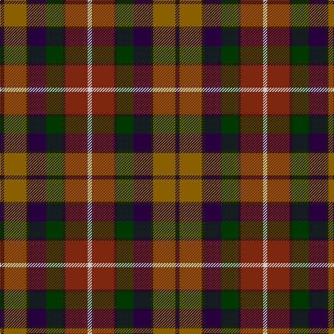K/6 T32 K4 DP24 G24 K4 Ta32 N/6 tartan Tartan detail