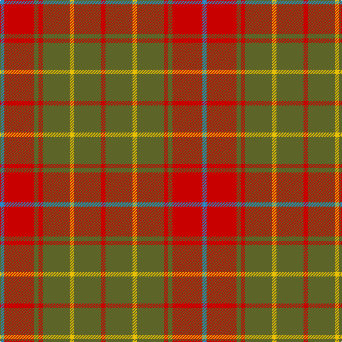 B/6 R42 G6 R6 G38 Y6 G38 R/6 tartan Tartan detail