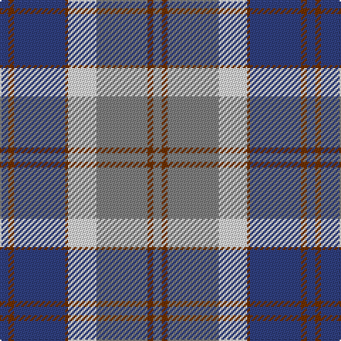 B/6 T4 B36 T2 LN20 N36 T4 N/6 tartan Tartan detail