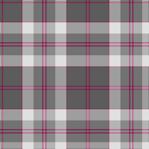 N/6 R4 N60 R2 LN36 Na28 R4 Na/6 tartan Tartan detail