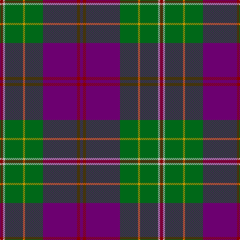 DR/6 N4 G36 DY4 G36 P68 DR6 P/6 tartan Tartan detail