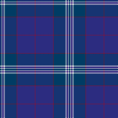 DBa/6 LN4 DBb4 LN6 DBa48 R2 DB72 R/2 tartan Tartan detail