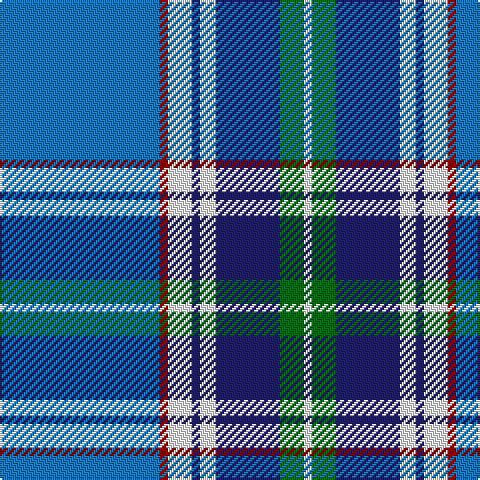 B/80 DR4 W12 DB4 W8 DB32 G12 W/4 tartan Tartan detail