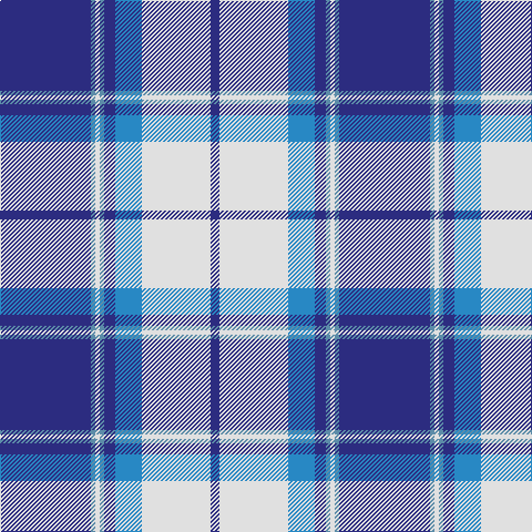 DB/82 B4 LN4 B4 DB10 Ba24 LN62 DB/8 tartan Tartan detail