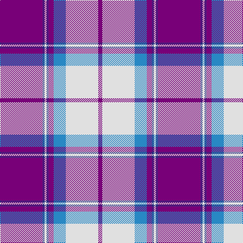 P/84 DB4 LN4 DB4 P10 B24 LN64 P/8 tartan Tartan detail