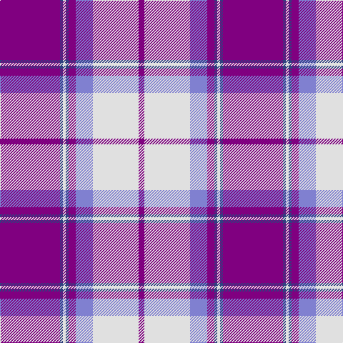 P/84 Ba4 LN4 Ba4 P10 B24 LN64 P/8 tartan Tartan detail