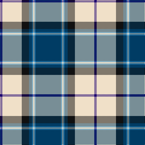 DB/8 W64 K24 DBa10 B4 W4 B4 DBa/84 tartan Tartan detail