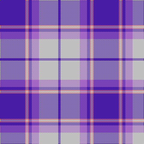 P/84 LR4 N4 LR4 P10 Pa24 N64 P/8 tartan Tartan detail