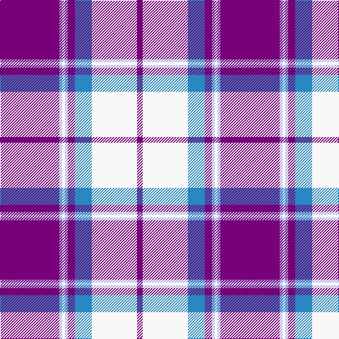 P/84 LP4 W4 LP4 P10 B24 W64 P/8 tartan Tartan detail