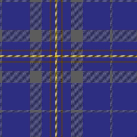 N/8 DB96 N42 DB28 T6 DB12 N2 Y/6 tartan Tartan detail
