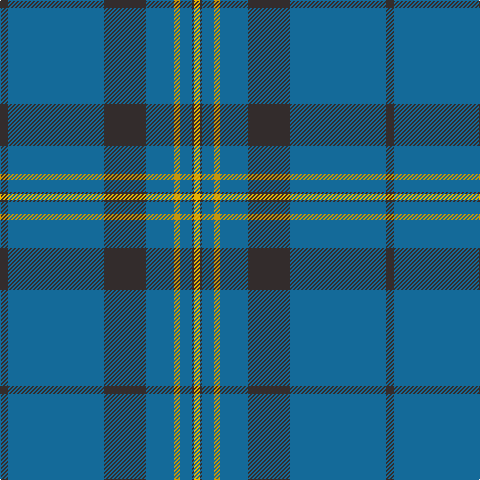 K/8 B96 K42 B28 DY6 B12 K2 Y/6 tartan Tartan detail