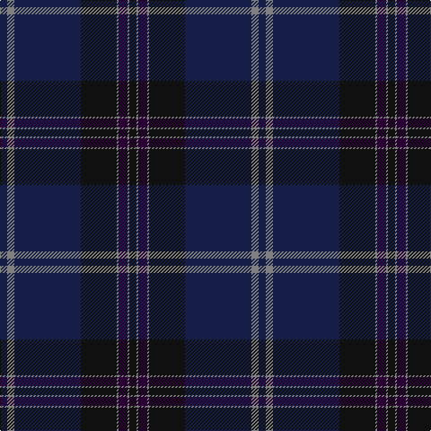 DB/8 N8 DB74 K40 N2 DP10 N2 K/8 tartan Tartan detail
