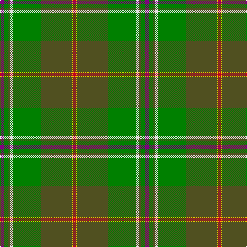 P/8 G8 T4 LN6 G54 T60 Y2 R/6 tartan Tartan detail