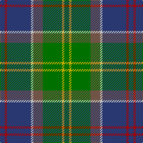 B/8 R4 B40 LN4 LT16 G32 Y4 G/8 tartan Tartan detail