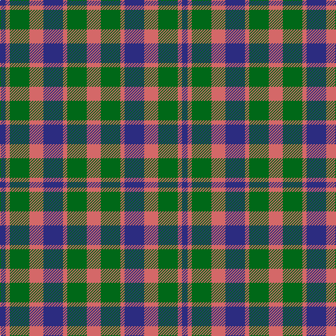 DB/8 LR6 G28 LR20 DB28 LR6 G28 LR/20 tartan Tartan detail