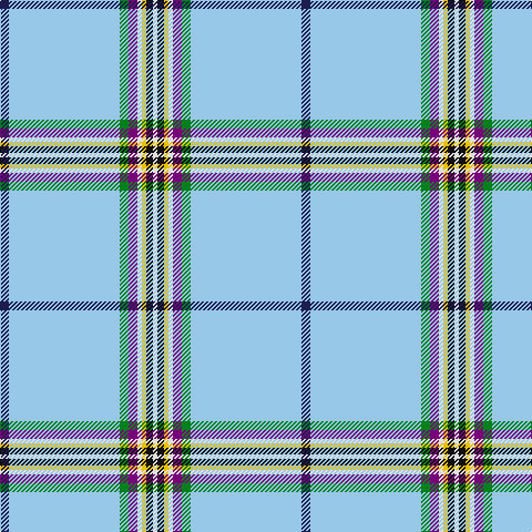 DB/8 LB100 G8 P8 LN4 Y4 K6 LN/4 tartan Tartan detail
