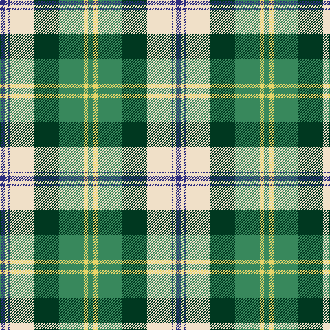 DB/8 W4 DB2 W36 DG36 G36 LY6 G/8 tartan Tartan detail