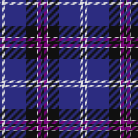 DB/8 LN8 DB74 K40 LN2 P10 LN2 K/8 tartan Tartan detail