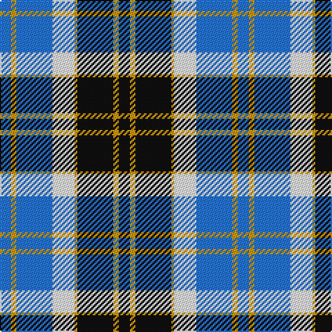 B/8 DY4 B26 W16 DY2 K26 DY4 K/8 tartan Tartan detail
