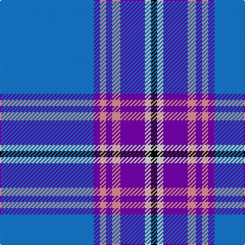 B/92 P6 LR6 P6 LR8 P24 W6 K/6 tartan Tartan detail