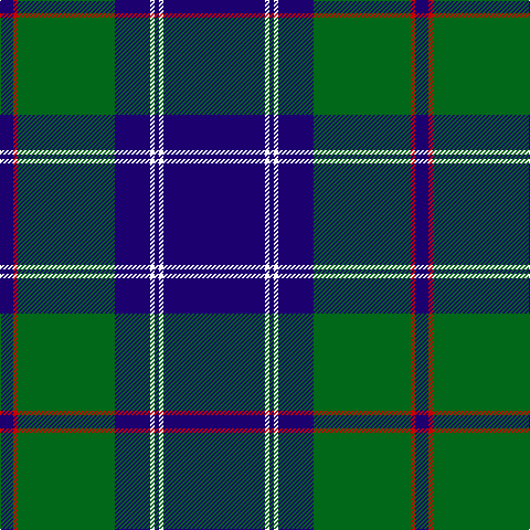 DB/12 R4 G88 DB32 W4 DB4 W4 DB/92 tartan Tartan detail