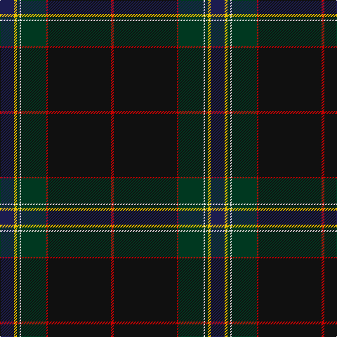 DB/20 Y4 DG4 LN2 DG36 R2 K90 R/4 tartan Tartan detail