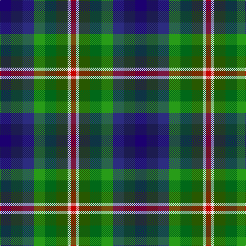DBa/22 DBb22 DB22 G22 Ga22 Gb22 LN6 R/10 tartan Tartan detail