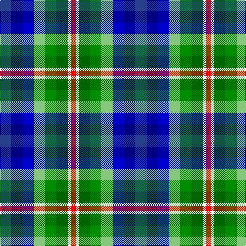 B/22 DB22 Ba22 LG22 G22 Ga22 W6 R/10 tartan Tartan detail