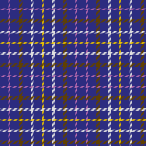 DB/28 P6 DB28 T12 DB28 LN8 DB28 Y/6 tartan Tartan detail