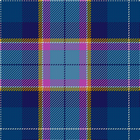 W/2 DB36 DBa28 DY6 W2 P12 B24 DBa/2 tartan Tartan detail