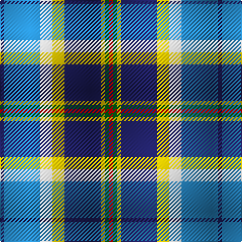 DB/4 B36 W12 Y12 DB36 Y4 G4 R/4 tartan Tartan detail
