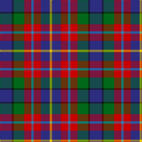 DB/40 K6 G36 R24 B8 R24 DB30 Y/8 tartan Tartan detail