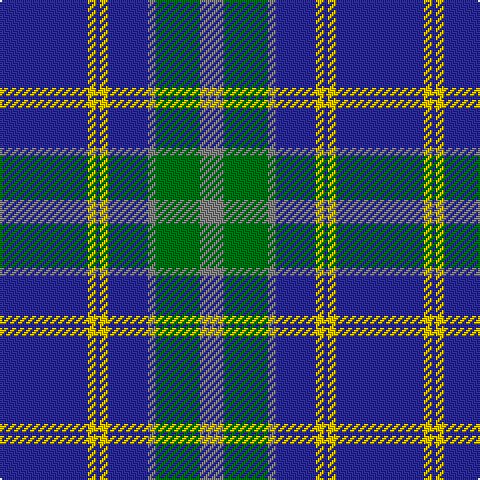 DB/44 Y4 DB2 Y4 DB20 N4 G22 N/12 tartan Tartan detail