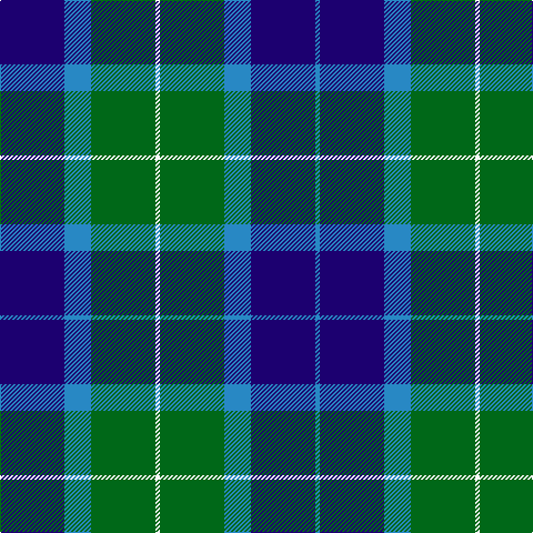 B/4 DB58 B24 G58 W4 G58 B24 DB/58 tartan Tartan detail