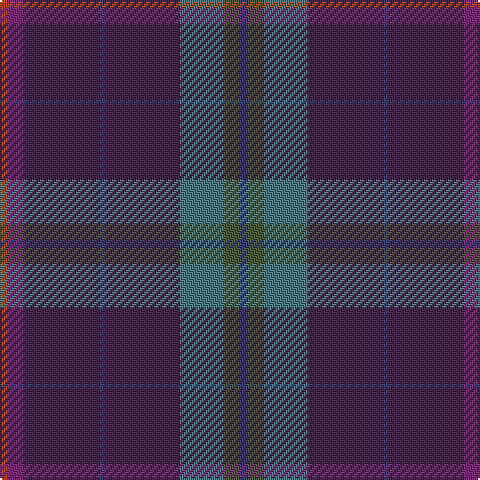 B/4 N8 G22 DP38 B2 DP38 P8 T/4 tartan Tartan detail