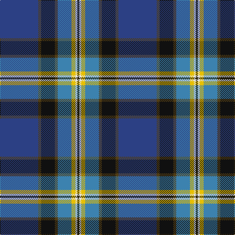 B/78 T6 K28 T6 Ba28 Y8 LN4 Ka/4 tartan Tartan detail