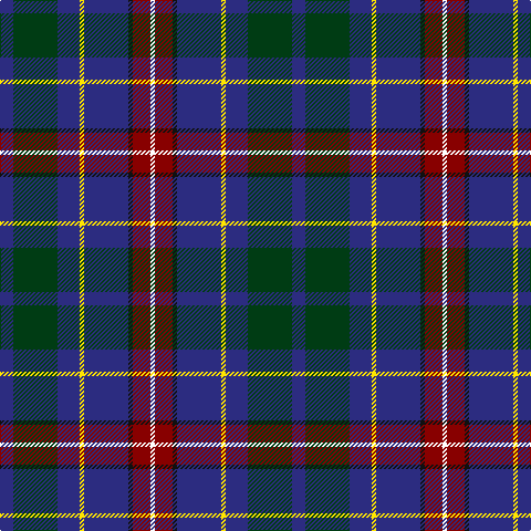 DB/12 DG40 DB20 Y4 DB40 K4 DR16 W/4 tartan Tartan detail
