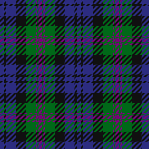 DB/12 K8 DB32 K32 G32 P4 G4 P/12 tartan Tartan detail